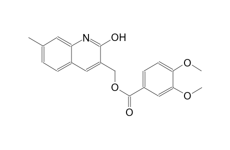 (2-hydroxy-7-methyl-3-quinolinyl)methyl 3,4-dimethoxybenzoate