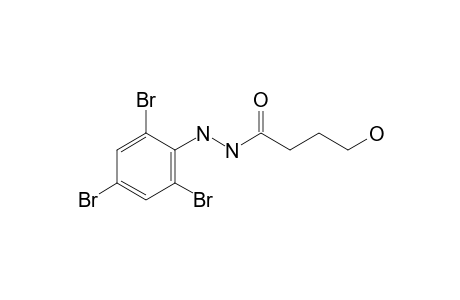 4-hydroxy-N'-(2,4,6-tribromophenyl)butyrohydrazide