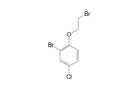 2-bromo-1-(2-bromoethoxy)-4-chlorobenzene