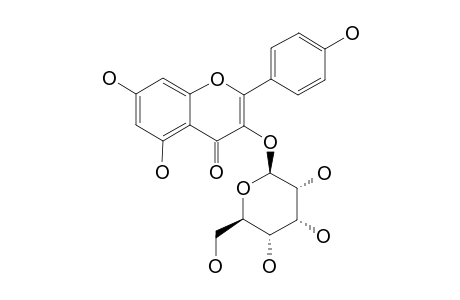 KAEMPFEROL-3-O-ALLOPYRANOSIDE