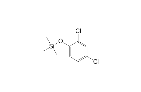 (2,4-Dichlorophenoxy)(trimethyl)silane