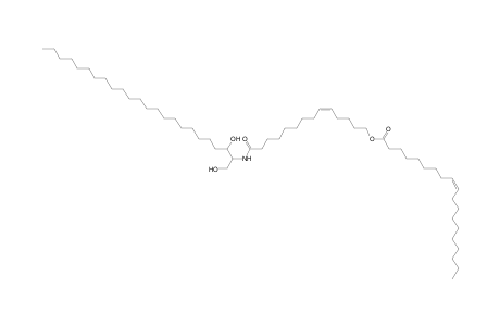 Cer 24:0;2O/14:1;O(FA 19:1)