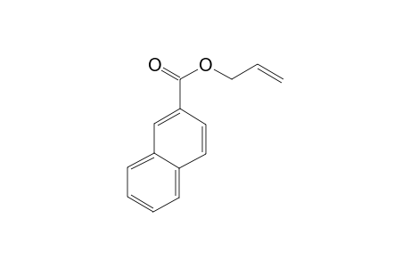 2-Naphthalenecarboxylic acid allyl ester