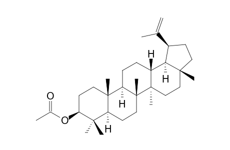 LUPEPORTLANDOL-ACETATE;3-ALPHA-ACETOXY-19-ALPHA-H-LUP-20(29)-ENE