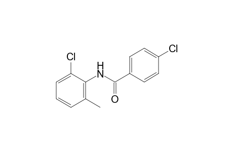 4,6'-dichloro-o-benzotoluidide