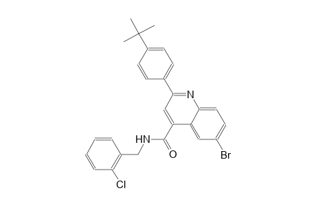 6-bromo-2-(4-tert-butylphenyl)-N-(2-chlorobenzyl)-4-quinolinecarboxamide