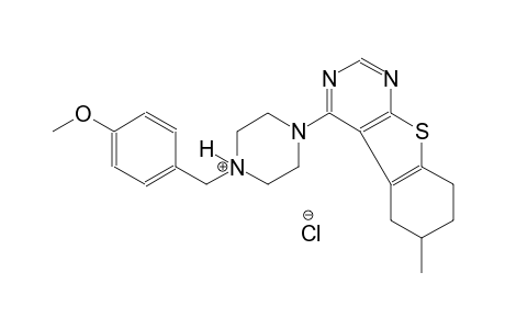 1-(4-methoxybenzyl)-4-(6-methyl-5,6,7,8-tetrahydro[1]benzothieno[2,3-d]pyrimidin-4-yl)piperazin-1-ium chloride