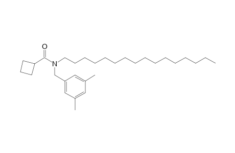 Cyclobutanecarboxamide, N-(3,5-dimethylbenzyl)-N-hexadecyl- ???