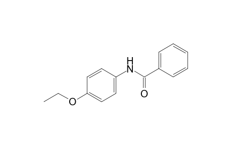 p-benzophenetidide