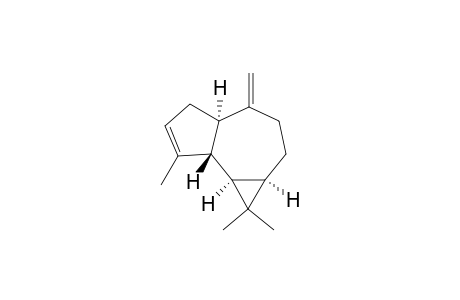 1H-Cycloprop[e]azulene, 1a,2,3,4,4a,5,7a,7b-octahydro-1,1,7-trimethyl-4-methylene-, [1aR-(1a.alpha.,4a.alpha.,7a.beta.,7b.alpha.)]-