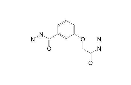 3-Hydrazinocarbonylmethoxy-benzoic acid, hydrazide