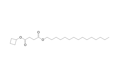 Succinic acid, cyclobutyl pentadecyl ester