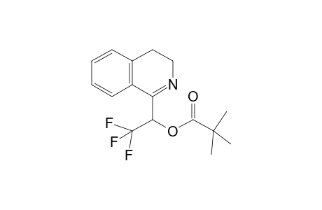 2,2-Dimethyl-propionic acid 1-(3,4-dihydro-isoquinolin-1-yl)-2,2,2-trifluoro-ethyl ester