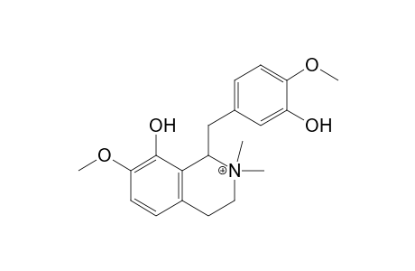 1-(3-hydroxy-4-methoxy-benzyl)-7-methoxy-2,2-dimethyl-3,4-dihydro-1H-isoquinolin-2-ium-8-ol