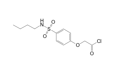 Acetyl chloride, 2-[4-[(butylamino)sulfonyl]phenoxy]-