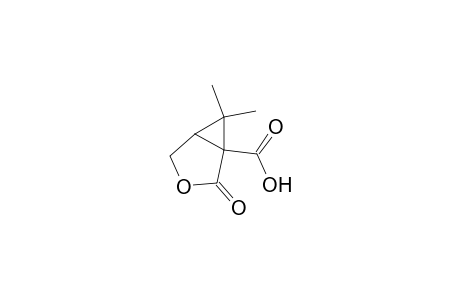 1-Carboxy-6,6-dimethyl-2-oxo-3-oxabicyclo[3.1.0]hexane