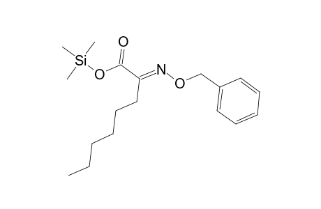 Octanoic acid, 2-[(phenylmethoxy)imino]-, trimethylsilyl ester