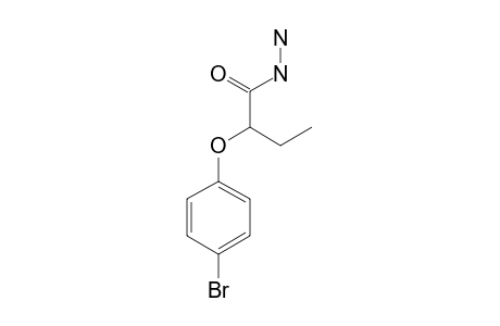 4-BROMOPHENOXY-BUTYRIC-ACID-HYDRAZIDE