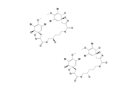 CAISSARINE-C