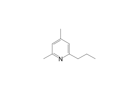 2,4-Dimethyl-6-propyl-pyridine