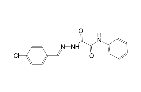 2-[(2E)-2-(4-chlorobenzylidene)hydrazino]-2-oxo-N-phenylacetamide