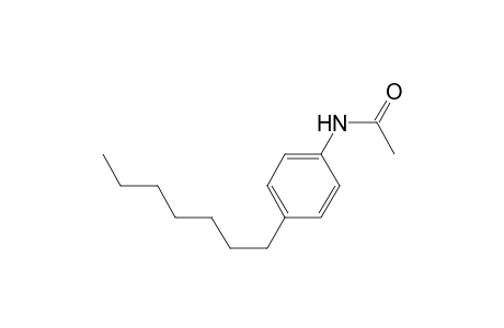 N-(4-heptylphenyl)acetamide