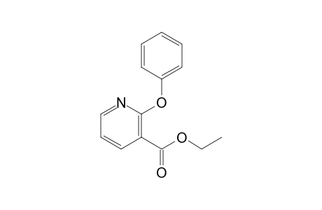 Ethyl 2-phenoxynicotinate