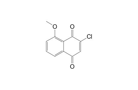 3-CHLORO-5-METHOXY-1,4-NAPHTHOQUINONE