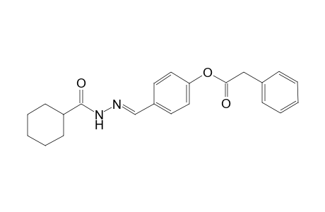 Phenylacetic acid, 4-(cyclohexanecarbonylhydrazonomethyl)phenyl ester