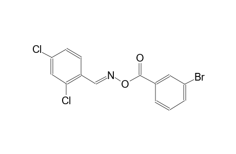2,4-dichlorobenzaldehyde O-(3-bromobenzoyl)oxime