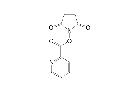 picolinic acid succinimido ester