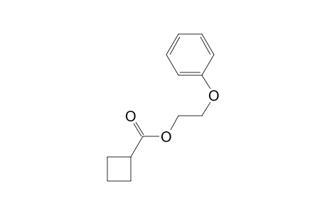 Cyclobutanecarboxylic acid, 2-(phenoxy)ethyl ester