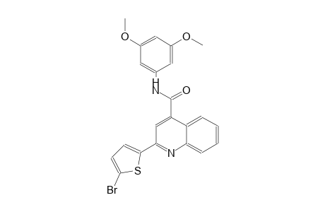 2-(5-bromo-2-thienyl)-N-(3,5-dimethoxyphenyl)-4-quinolinecarboxamide