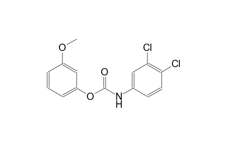(3,4-Dichlorophenyl)carbamic acid 3-methoxyphenyl ester