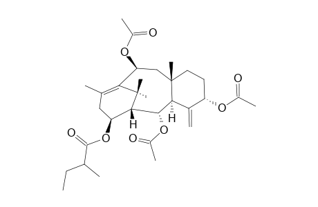 2-ALPHA,5-ALPHA,10-BETA-TRI-ACETOXY-14-BETA-(2-METHYL)-BUTYRYLOXY-4(20),11-TAXADIENE