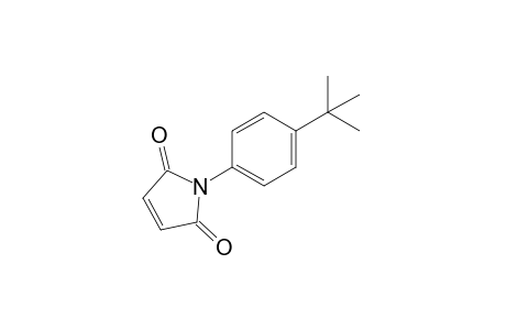N-(p-tert-butylphenyl)maleimide