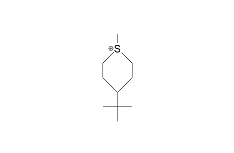 cis-1-Methyl-4-tert-butyl-thianium cation
