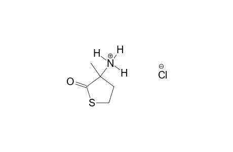 3-AMINO-3-METHYL-2-THIOLANONE-HYDROCHLORIDE