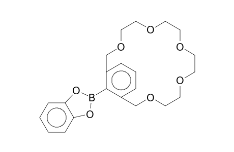 21-(1,3,2-Benzodioxaborol-2-yl)-3,6,9,12,15-pentaoxabicyclo[15.3.1]henicosa-1(21),17,19-triene