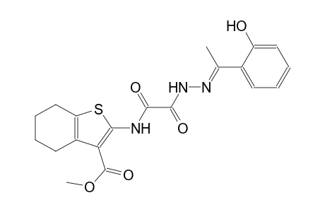 methyl 2-{[{(2E)-2-[1-(2-hydroxyphenyl)ethylidene]hydrazino}(oxo)acetyl]amino}-4,5,6,7-tetrahydro-1-benzothiophene-3-carboxylate