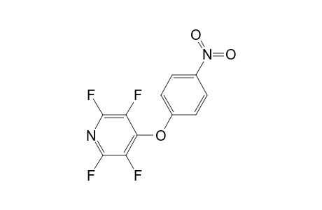 2,3,5,6-tetrakis(fluoranyl)-4-(4-nitrophenoxy)pyridine