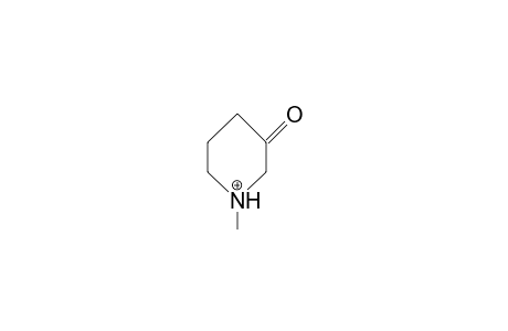 1-Methyl-3-oxo-piperidinium cation
