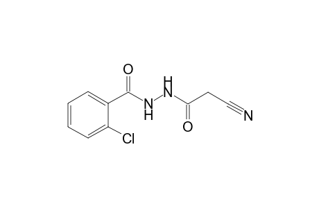 2-Chloro-N'-(cyanoacetyl)benzohydrazide