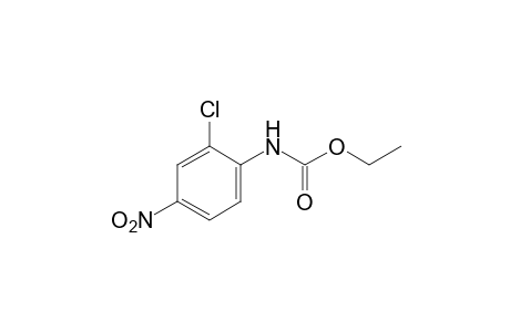 2-chloro-4-nitrocarbanilic acid, ethyl ester