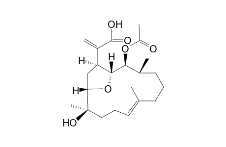 13-Acetoxyeupalmerocarboxylic acid