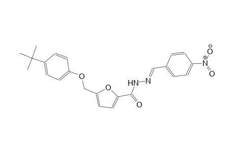 5-[(4-tert-butylphenoxy)methyl]-N'-[(E)-(4-nitrophenyl)methylidene]-2-furohydrazide