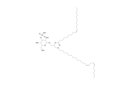 SMGDG O-22:2_19:1