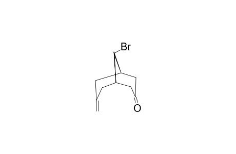 (Z)-9-BrOMO-7-METHYLENEBICYClO-[3.3.1]-NONAN-3-ONE;MAJOR_ISOMER