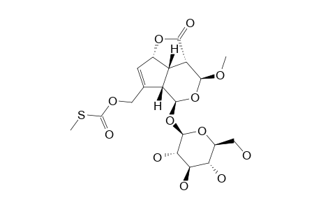 3,4-DIHYDRO-3-BETA-METHOXY-PAEDEROSIDE