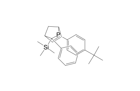 2-Phosphabicyclo[2.2.1]hept-5-ene, 2-[4-(1,1-dimethylethyl)phenyl]-3-phenyl-3-(trimethylsilyl)-, (2-endo,3-exo)-(.+-.)-